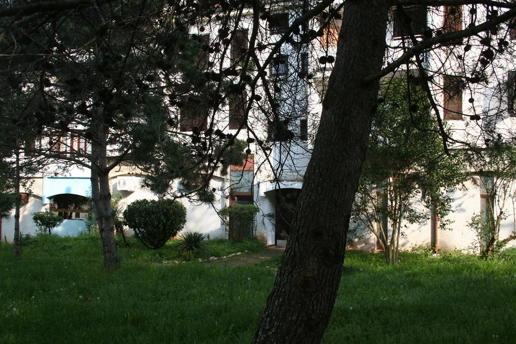 Apartma IStra Poreč Červar